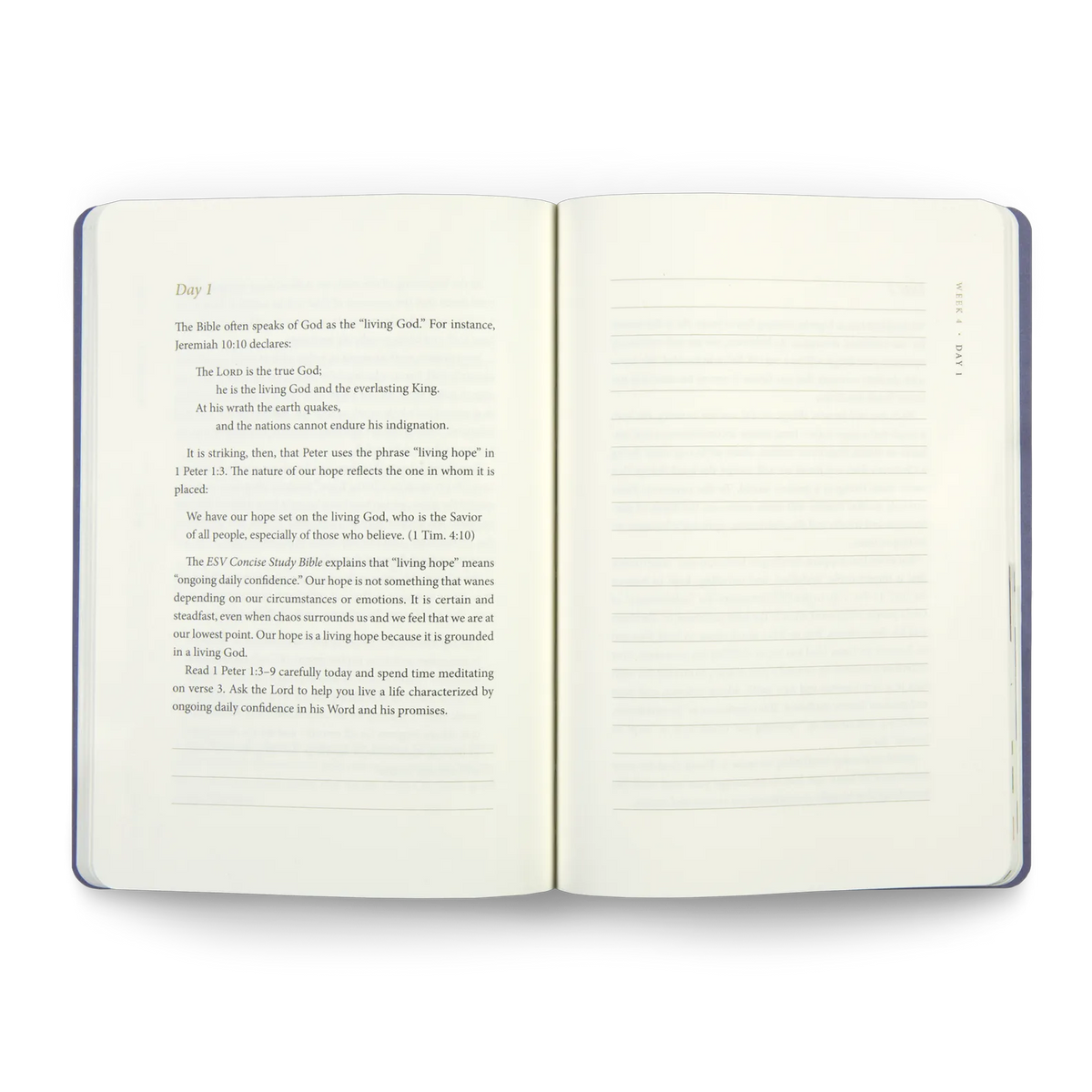 ESV Prayer Journal: 30 Days of Hope