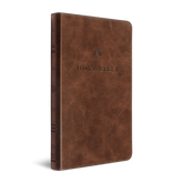 ESV Premium Church Bible, TruTone, Brown