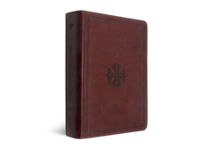 ESV Journaling Bible, Interleaved Edition