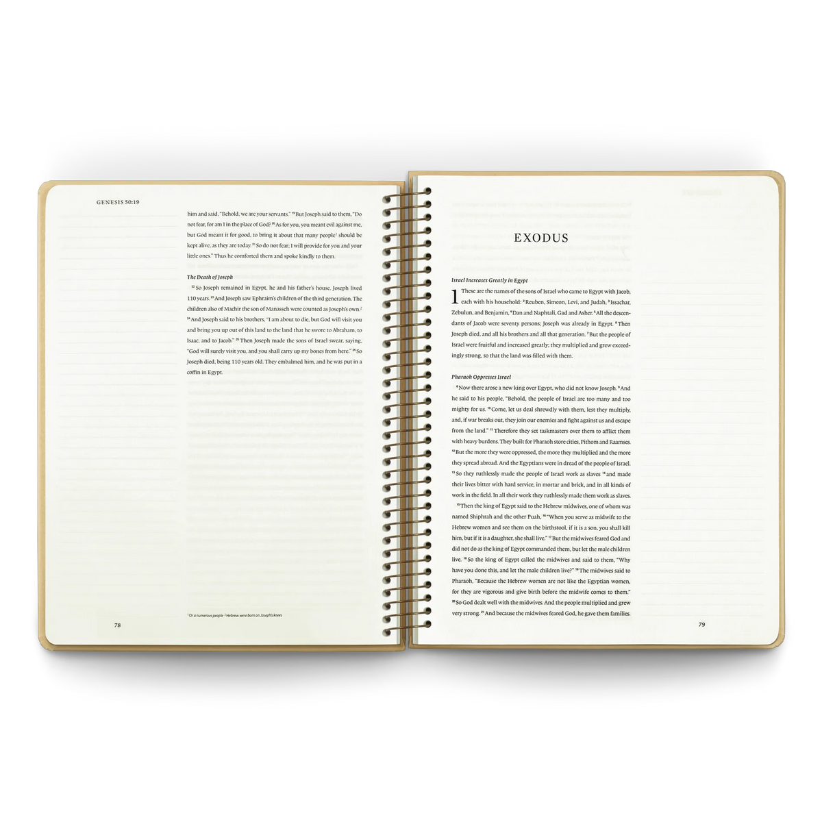 ESV Spiral-Bound Journaling Bible: Pentateuch