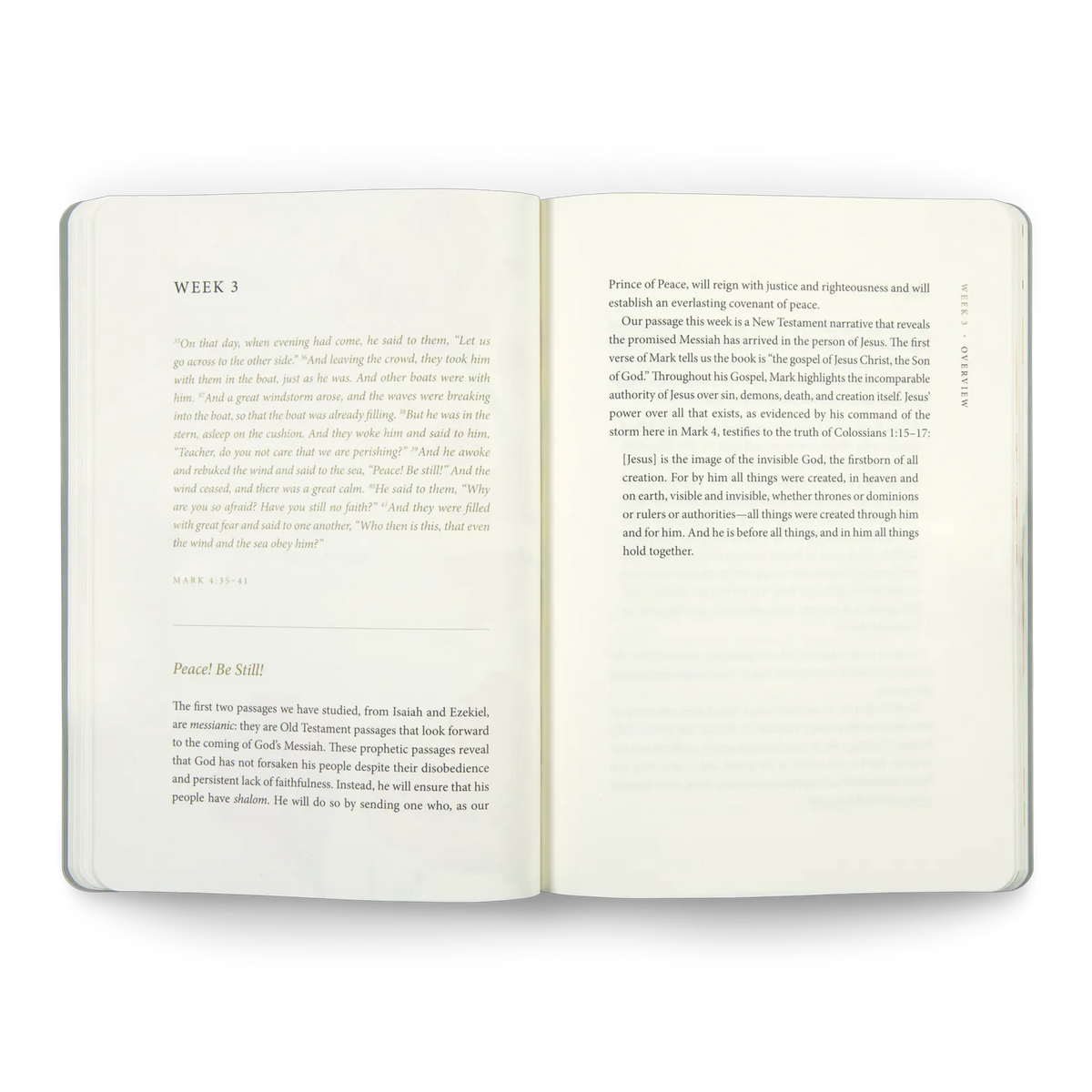 ESV Prayer Journal: 30 Days on Peace