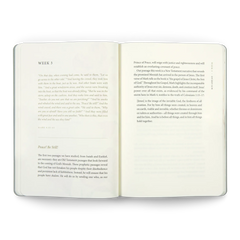 ESV Prayer Journal: 30 Days on Peace