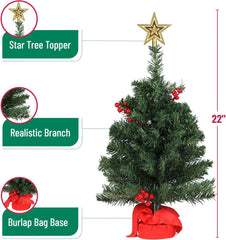 Mr. Pen Mini Christmas Tree with 35 LED Lights, 22 Inch Tabletop Decor