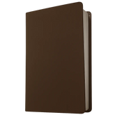 NLT Premium Value Thinline Bible, Brown, Filament Enabled