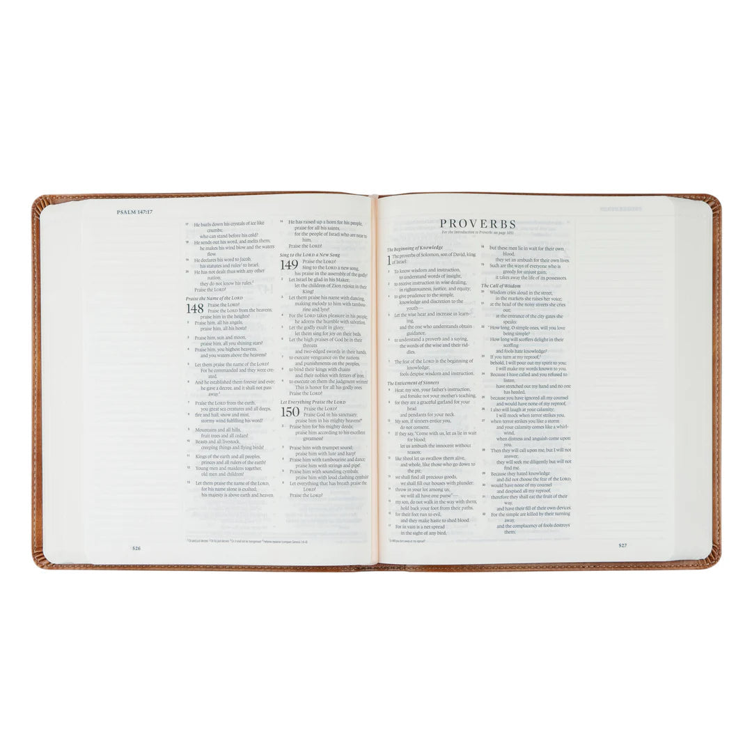 ESV Hosanna Revival Journaling Bible: Sierra Theme
