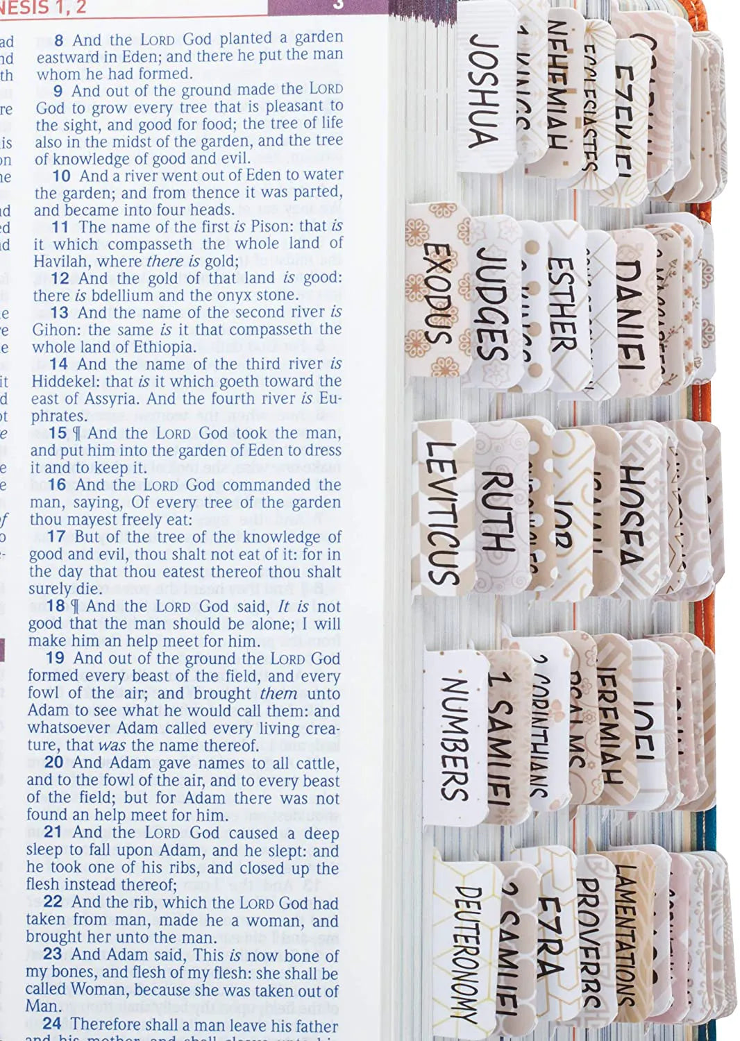 Bible Tabs for Catholic or Other Bibles, 75 Laminated Tabs, Old & New Testament, Bible Journaling Supplies for Women