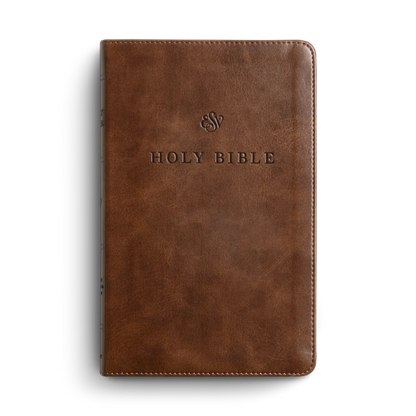 ESV Premium Church Bible, TruTone, Brown