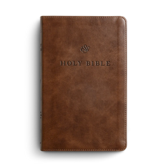 ESV Premium Church Bible, TruTone, Brown