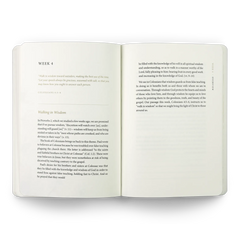 ESV Prayer Journal: 30 Days on Wisdom