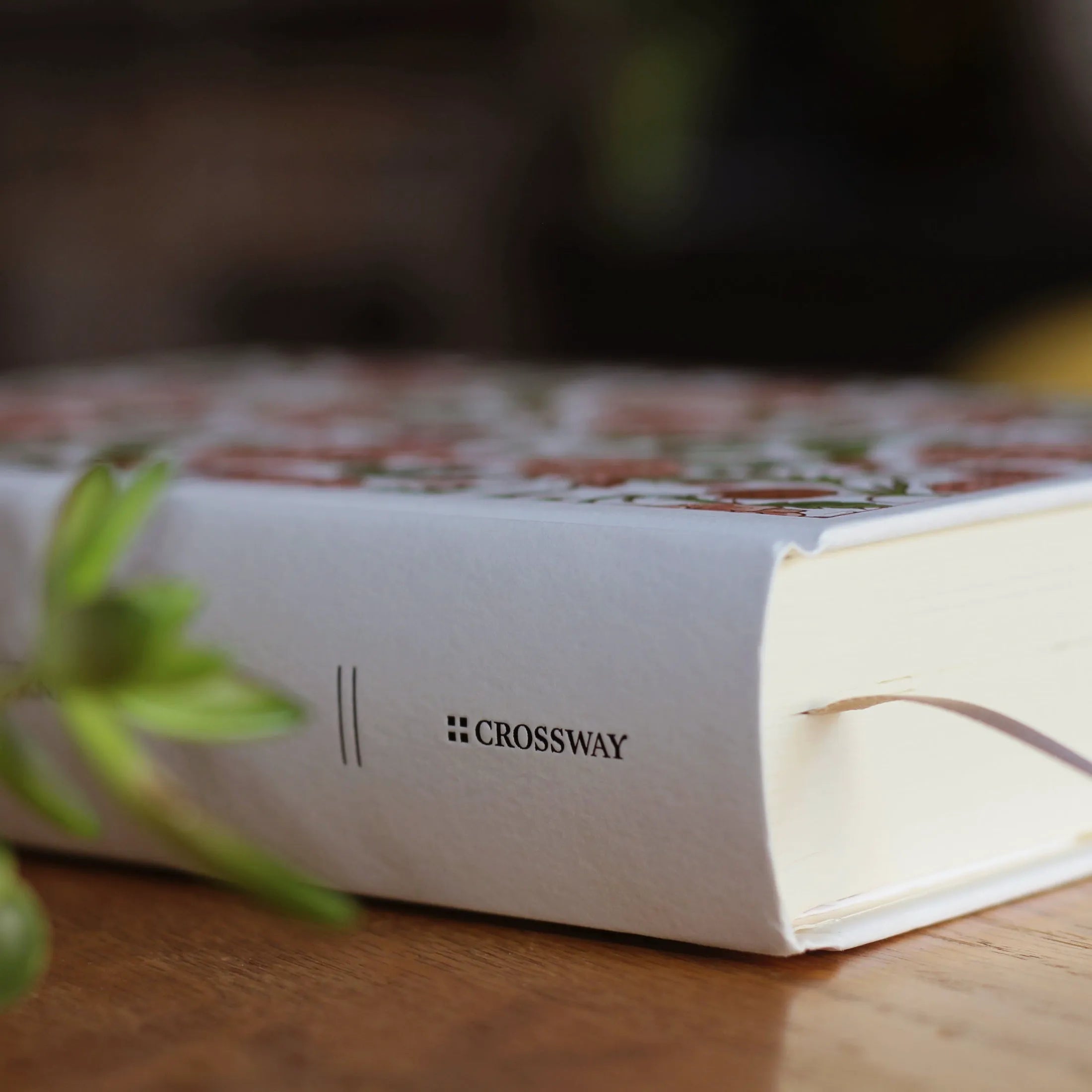 ESV Custom Single Column Journaling Bible, Floral Hardcover with Name Box (Pink, Blue, Cream, or Marigold)