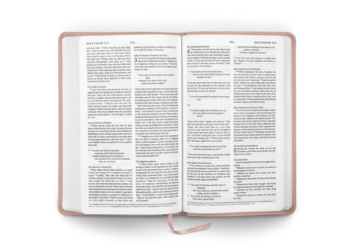 ESV Premium Church Bible, TruTone, Blush Rose