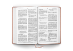 ESV Premium Church Bible, TruTone, Blush Rose
