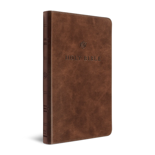 ESV Premium Church Bible, TruTone, Brown