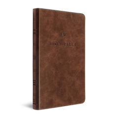 ESV Premium Church Bible, TruTone, Brown