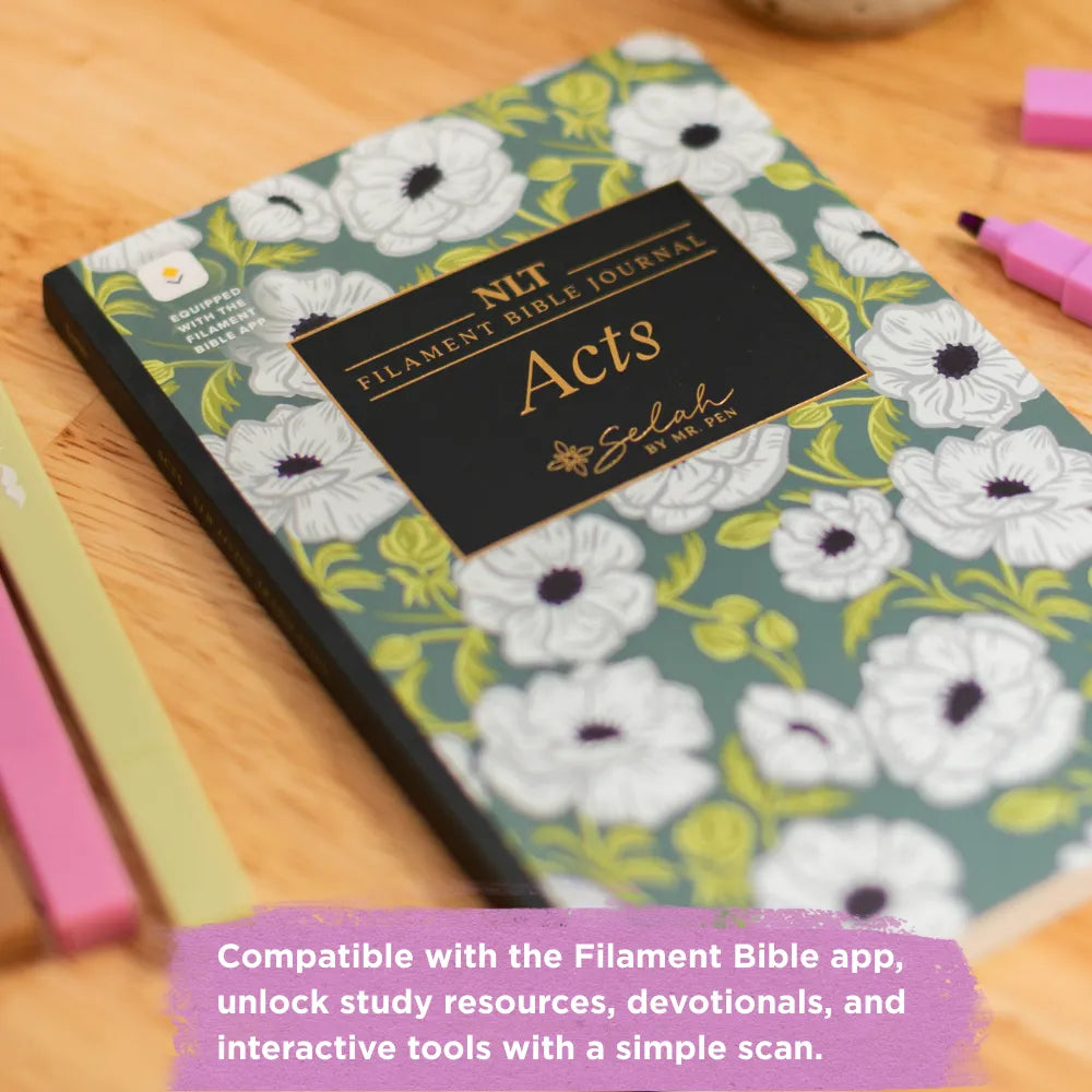 NLT New Testament Bible Set - 19 Books