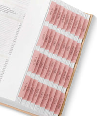 Mr. Pen Bible Tabs - 75 Transparent Pink Laminated Tabs for Women and Men