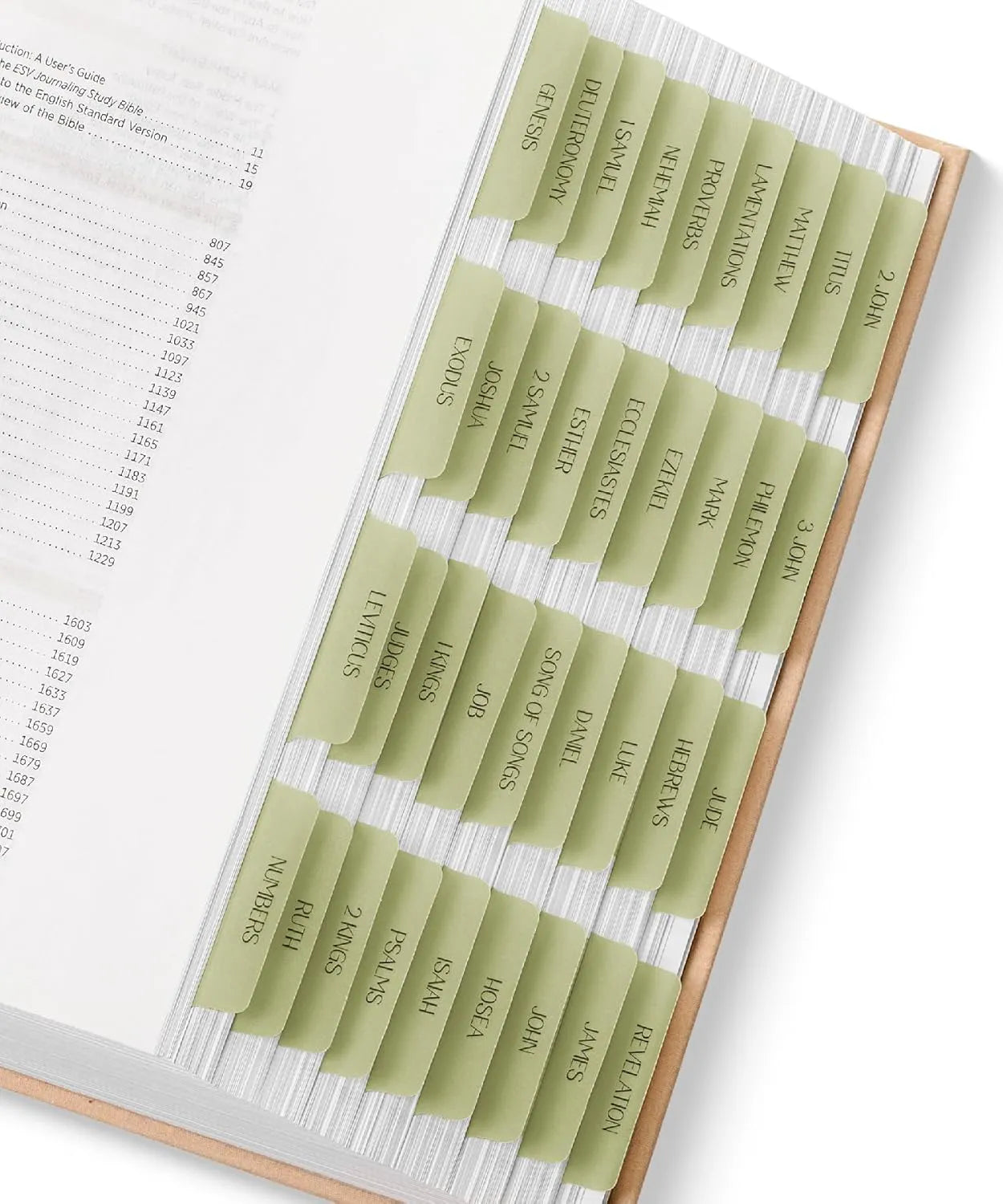 Mr. Pen Bible Tabs - 75 Transparent Olive Green Laminated Index Tabs for Women and Men, Ideal for Study Bibles