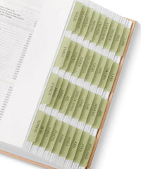 Mr. Pen Bible Tabs - 75 Transparent Olive Green Laminated Index Tabs for Women and Men, Ideal for Study Bibles