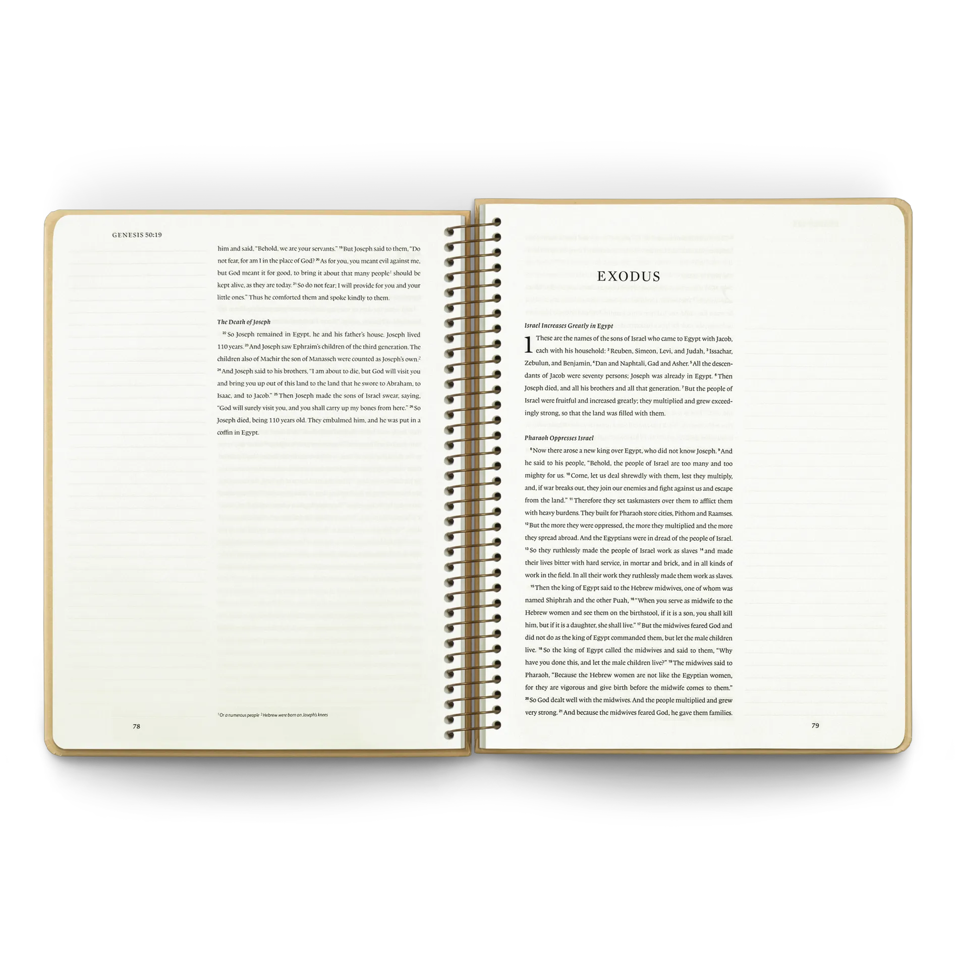 ESV Spiral-Bound Journaling Bible: Pentateuch