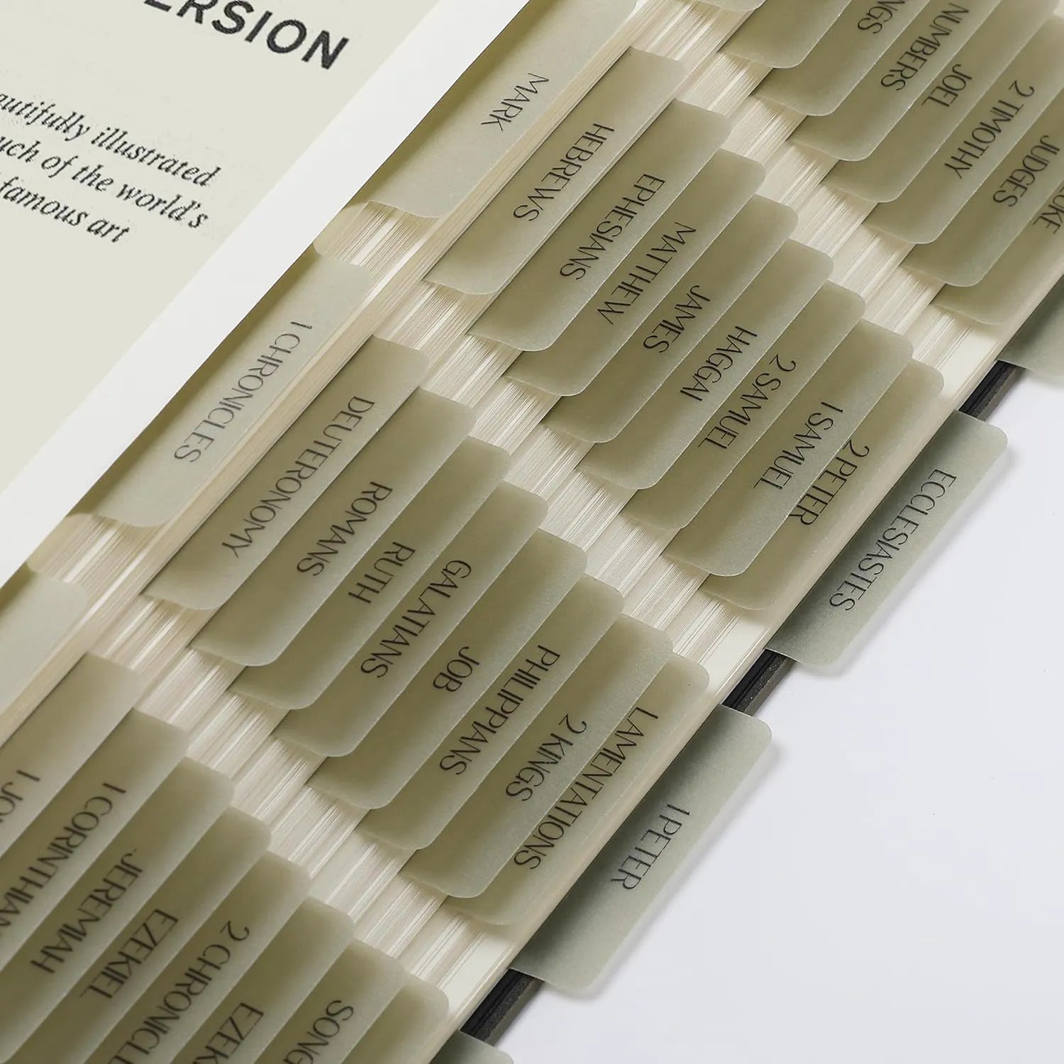 Mr. Pen Bible Tabs - 75 Transparent Olive Green Laminated Index Tabs for Women and Men, Ideal for Study Bibles