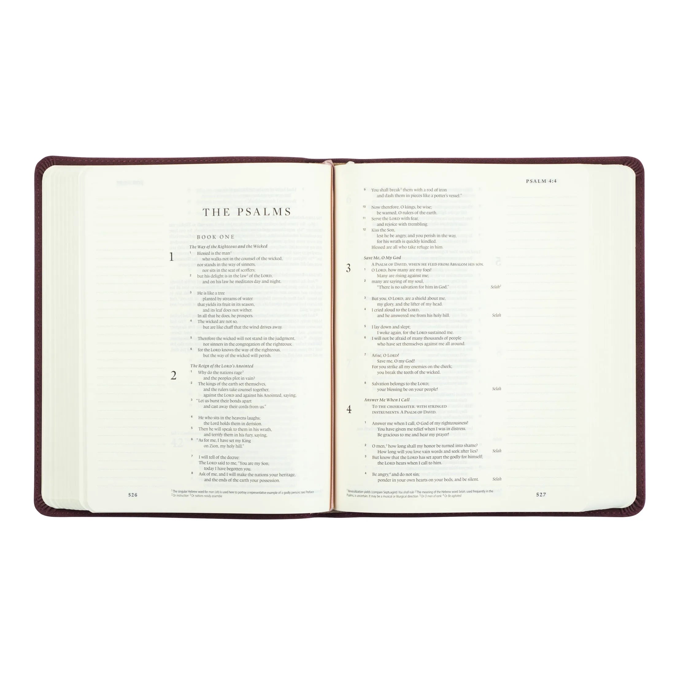 ESV Hosanna Revival Journaling Bible: Helena Theme