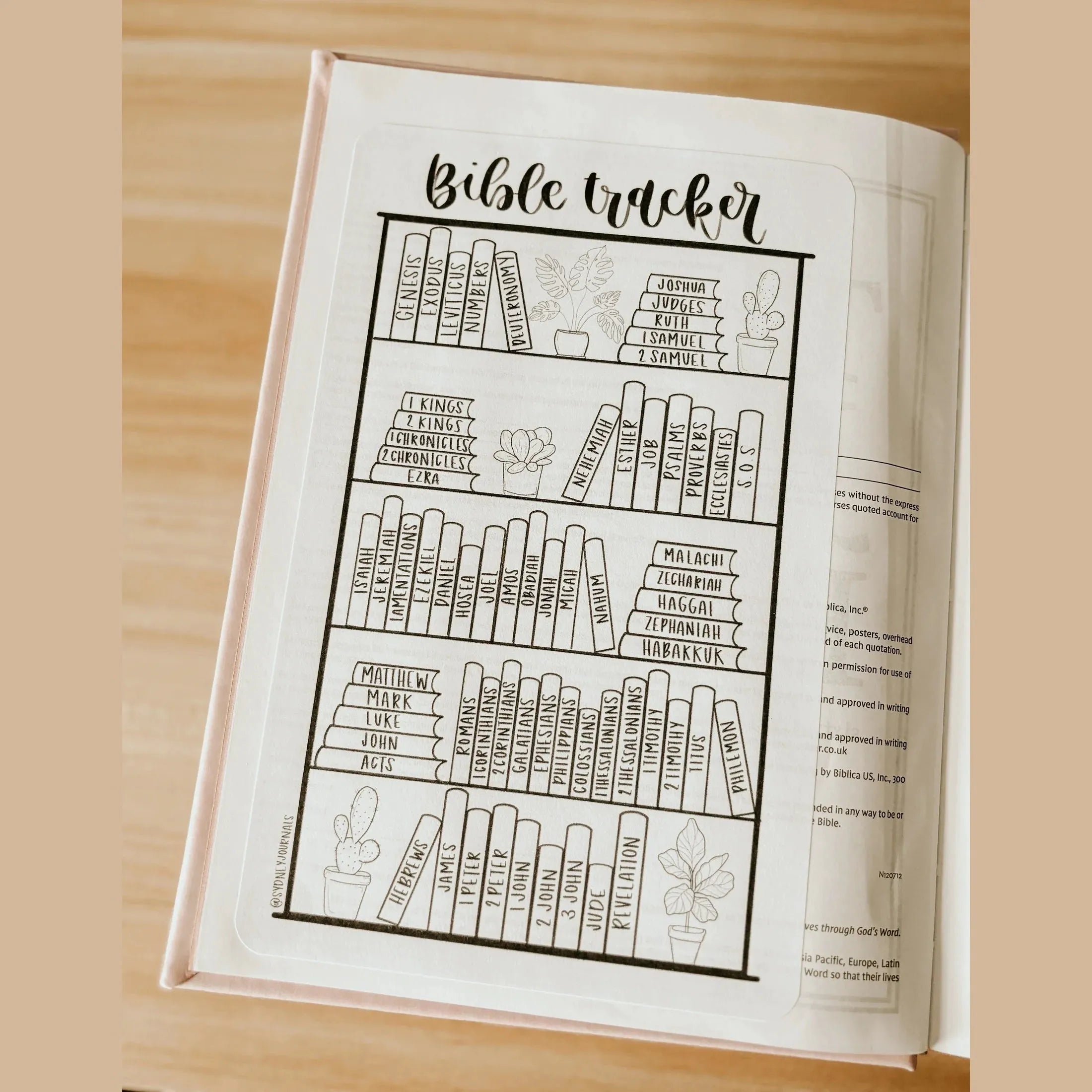 NLT Hosanna Revival Note-Taking Bible Kit: Versailles, Marlo, Shiloh & Cordova Themes