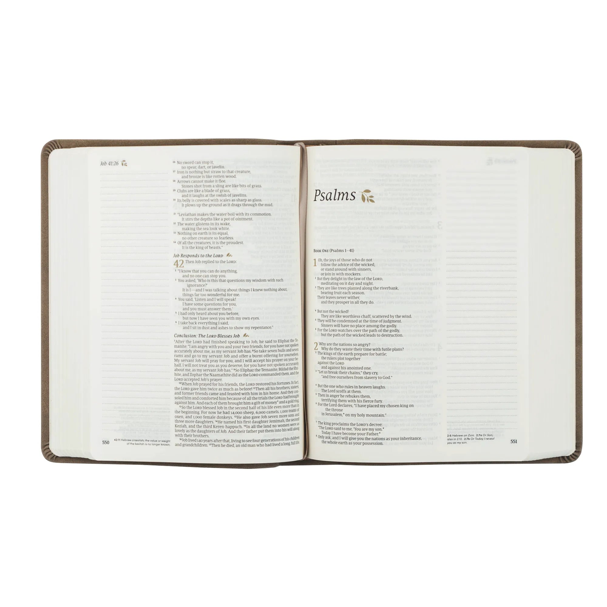 KJV Hosanna Revival Large Print Notetaking Bible (Marlo Theme)