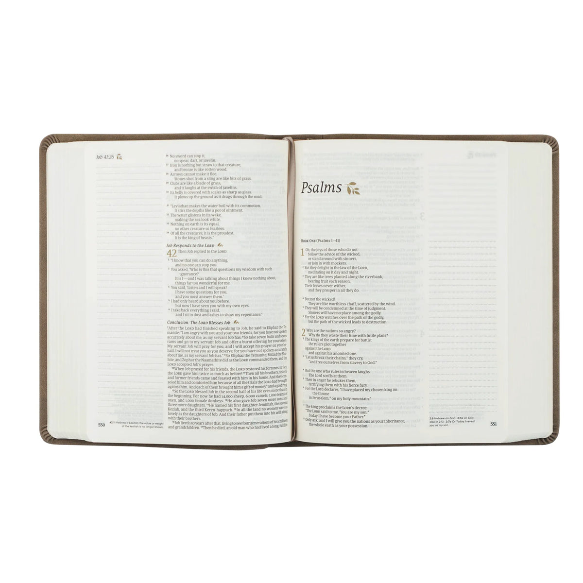 KJV Hosanna Revival Large Print Notetaking Bible (Marlo Theme)