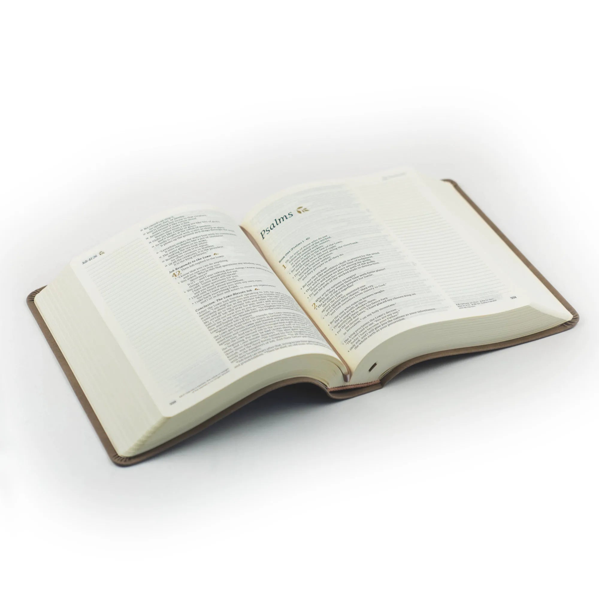 KJV Hosanna Revival Large Print Notetaking Bible (Marlo Theme)