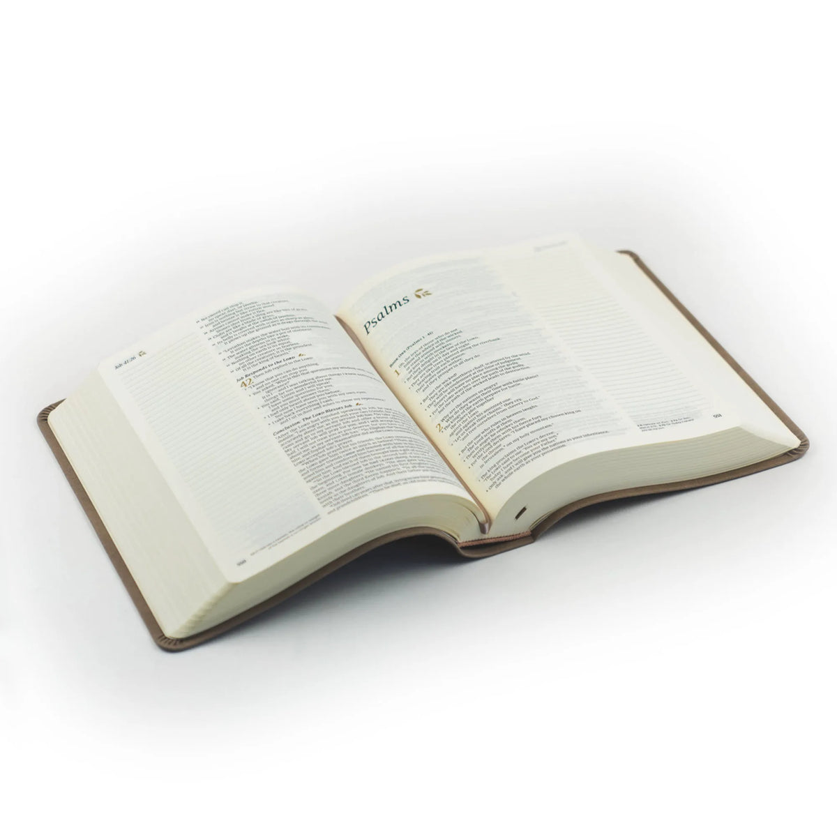 KJV Hosanna Revival Large Print Notetaking Bible (Marlo Theme)