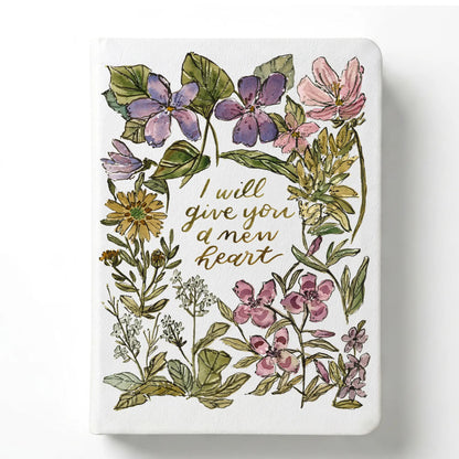 NLT (Softcover)