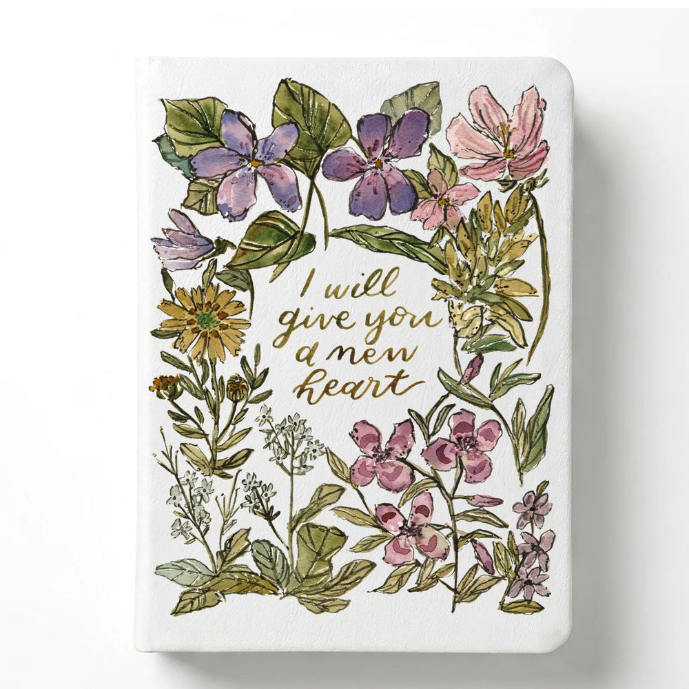 NLT (Softcover)