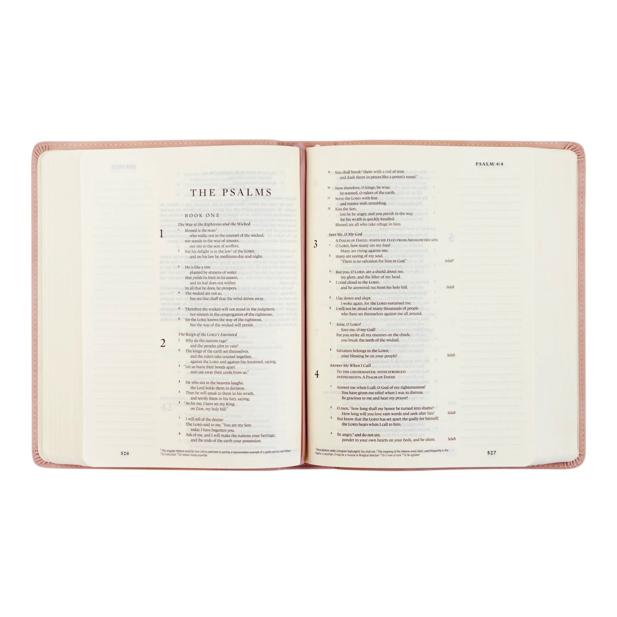 ESV Hosanna Revival Journaling Bible: Shiloh, Yorkshire, Hyde Park, Helena, and Sierra Theme