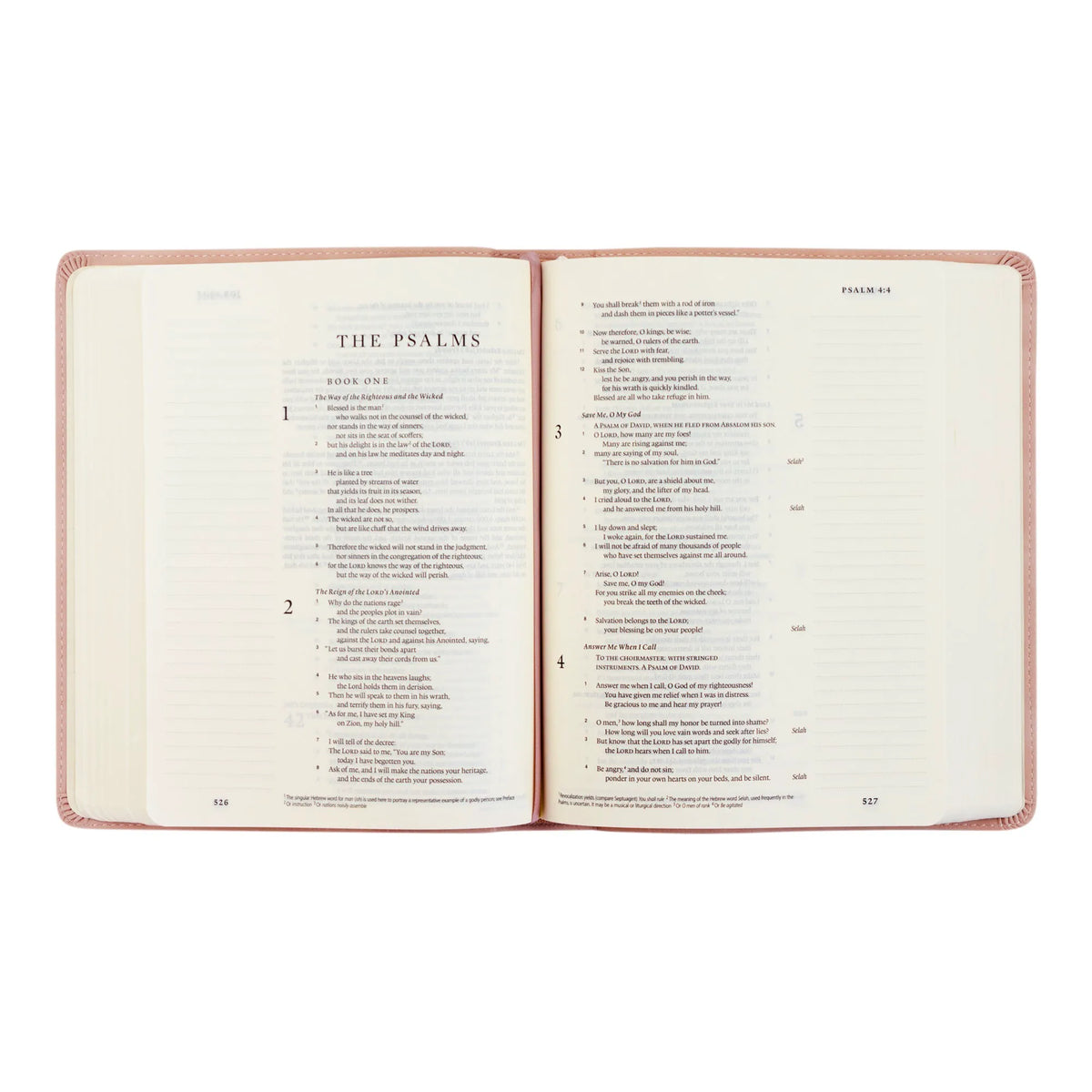 ESV Hosanna Revival Journaling Bible: Shiloh, Yorkshire, Hyde Park, Helena, and Sierra Theme