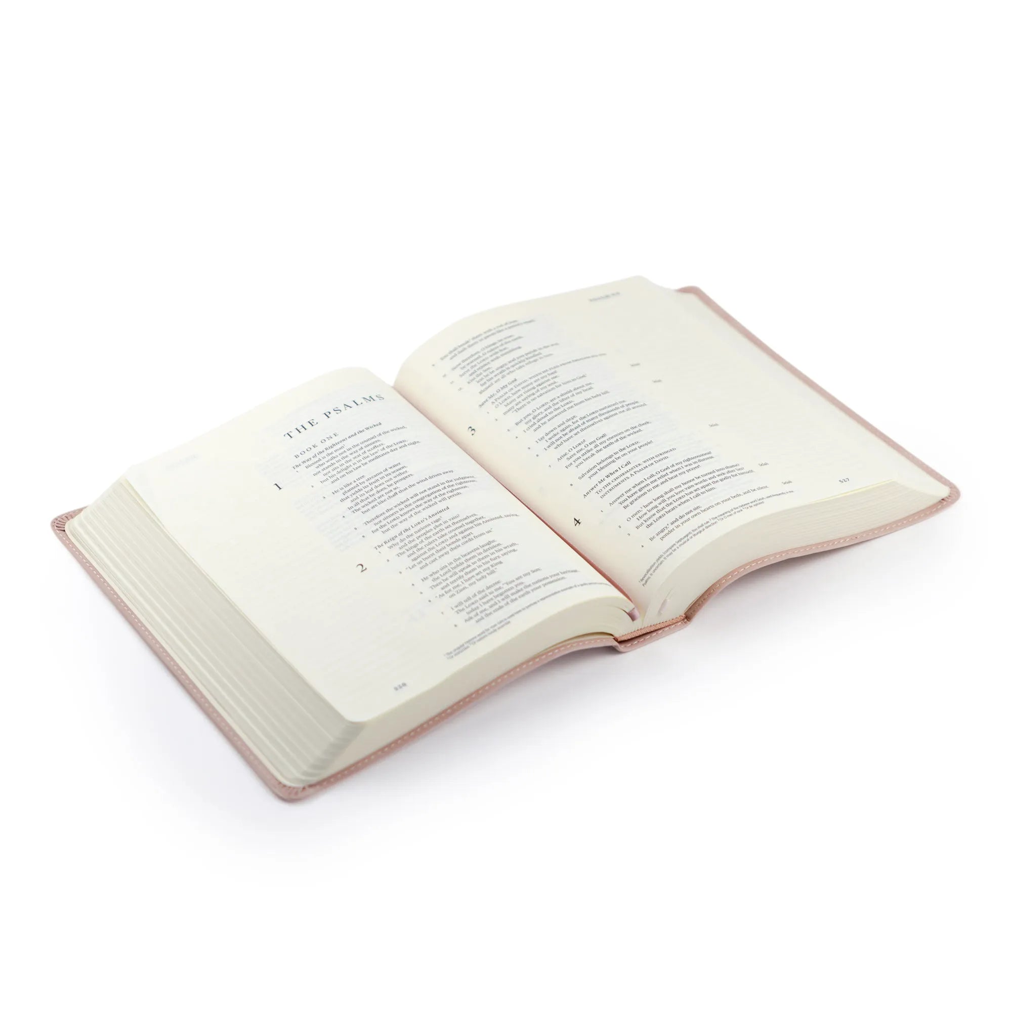 ESV Hosanna Revival Journaling Bible: Shiloh, Yorkshire, Hyde Park, Helena, and Sierra Theme