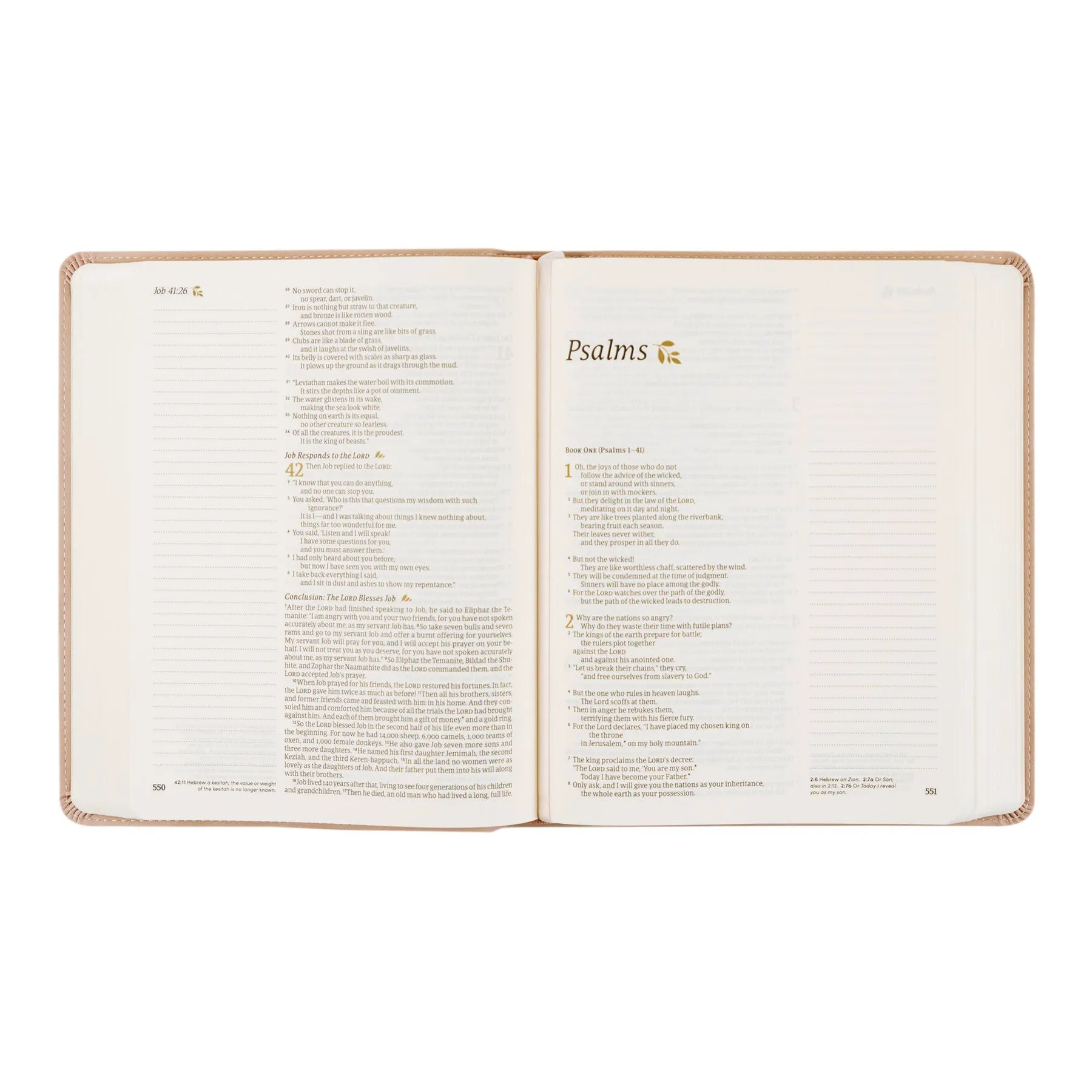 NLT Hosanna Revival Notetaking Bible (Shiloh Theme)