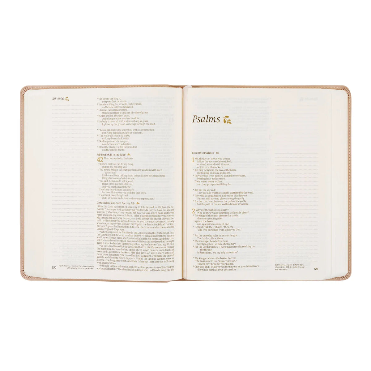 NLT Hosanna Revival Notetaking Bible (Shiloh Theme)