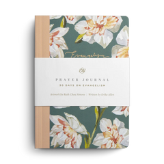 ESV Prayer Journal: 30 Days on Evangelism